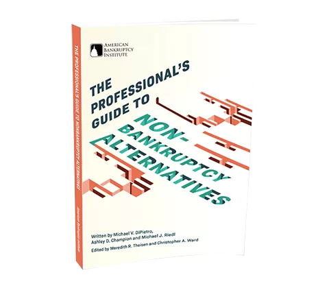 The Professional's Guide to Non-Bankruptcy Alternatives